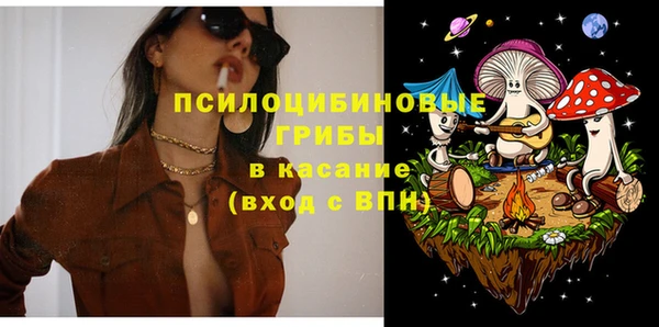 амф Абинск