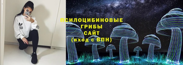 МДПВ Абаза