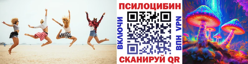 цены   Галич  Псилоцибиновые грибы прущие грибы 